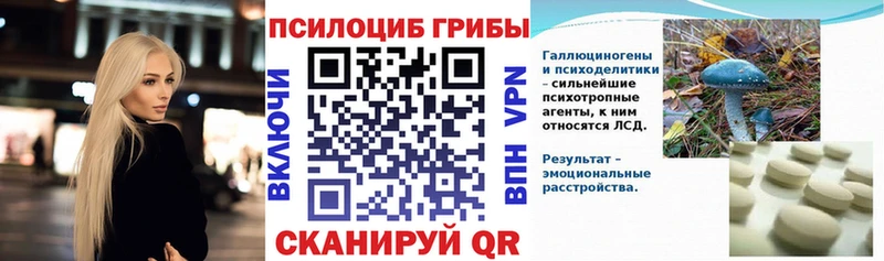 darknet наркотические препараты  Спасск-Рязанский  Псилоцибиновые грибы Cubensis  блэк спрут онион 